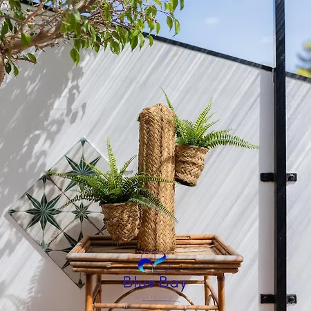 Apartment Attico La